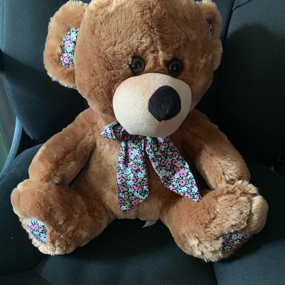 Teddy bear